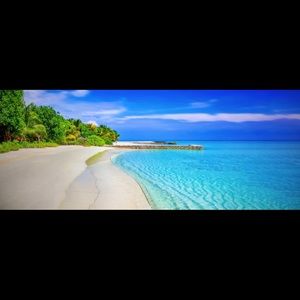 Meet your Posher, Loyd